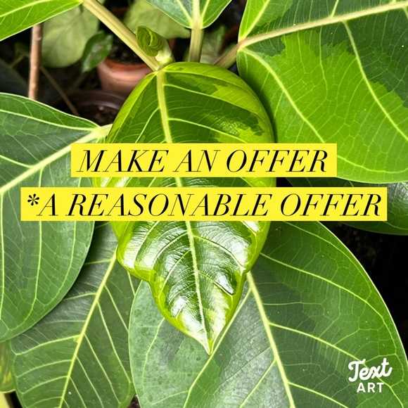 REASONABLE OFFERS👍 - Picture 5 of 13